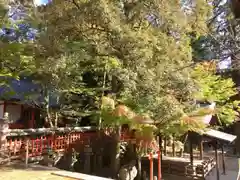 手向山八幡宮の庭園