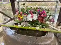 大浦神社の{uncategorized: "未分類", other: "その他", undefined: "問題あり", building: "その他建物", grave: "お墓", sacred_gate: "鳥居", guardian: "狛犬", statue: "像", buddha: "仏像", history: "歴史", nature: "自然", garden: "庭園", animal: "動物", pagoda: "塔", temizu: "手水舎", mountain_gate: "山門・神門", sanctuary: "本殿・本堂", subordinate: "末社・摂社", art: "芸術", scenery: "景色", jizo: "地蔵", ema: "絵馬", goshuin: "御朱印", omikuji: "おみくじ", items: "授与品その他", amulet: "お守り", goshuincho: "御朱印帳", eats: "食事", festival: "お祭り", votive_dance: "神楽", shichigosan: "七五三参", wedding: "結婚式", experience: "体験その他", initially: "初詣", around: "周辺", anti_infection: "感染症対策"}