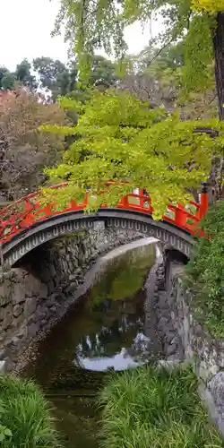 賀茂御祖神社（下鴨神社）の庭園