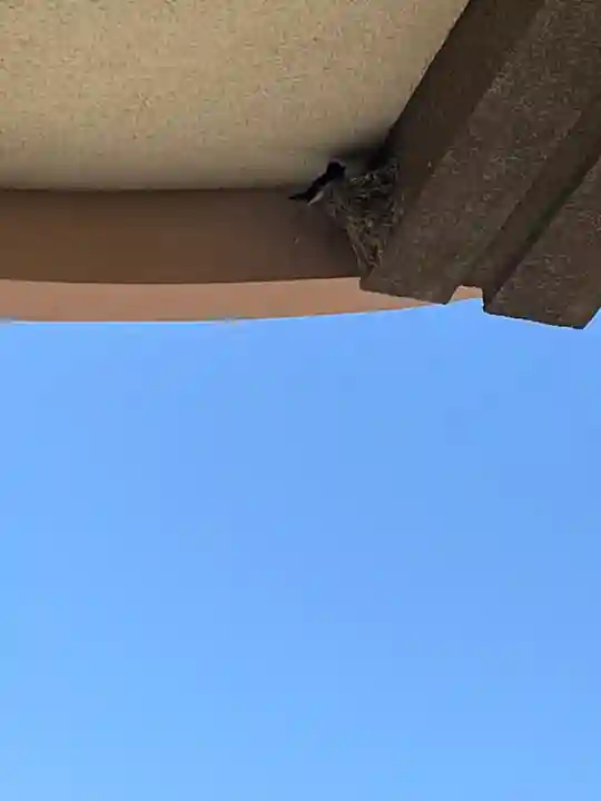 防府天満宮(山口県)