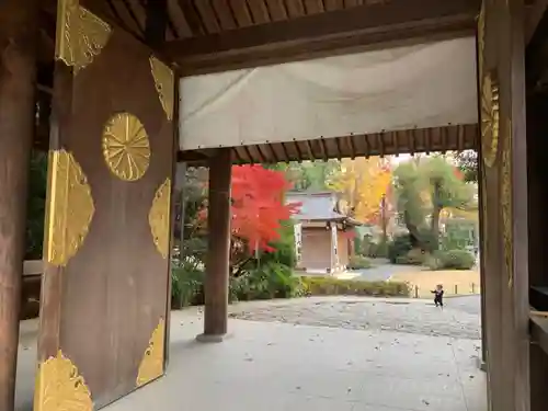 阿佐ヶ谷神明宮のその他建物