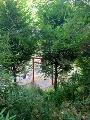 三峯神社(千葉県)