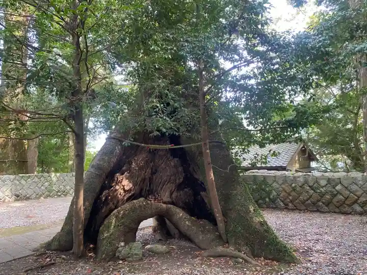 飛鳥神社の{uncategorized: "未分類", other: "その他", undefined: "問題あり", building: "その他建物", grave: "お墓", sacred_gate: "鳥居", guardian: "狛犬", statue: "像", buddha: "仏像", history: "歴史", nature: "自然", garden: "庭園", animal: "動物", pagoda: "塔", temizu: "手水舎", mountain_gate: "山門・神門", sanctuary: "本殿・本堂", subordinate: "末社・摂社", art: "芸術", scenery: "景色", jizo: "地蔵", ema: "絵馬", goshuin: "御朱印", omikuji: "おみくじ", items: "授与品その他", amulet: "お守り", goshuincho: "御朱印帳", eats: "食事", festival: "お祭り", votive_dance: "神楽", shichigosan: "七五三参", wedding: "結婚式", experience: "体験その他", initially: "初詣", around: "周辺", anti_infection: "感染症対策"}