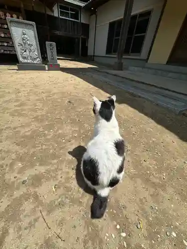 鎌数伊勢大神宮(千葉県)