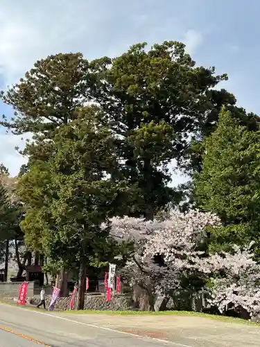 高司神社〜むすびの神の鎮まる社〜(福島県)