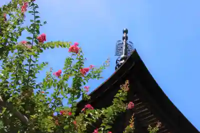 国宝 大法寺のその他建物