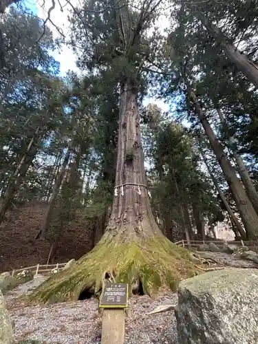 河口浅間神社(山梨県)