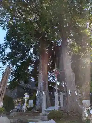武雄神社(佐賀県)