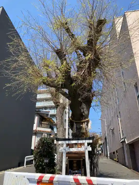 白光大神 (大阪府)