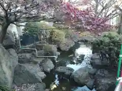 東光寺別院桜ヶ池不動院(東京都)