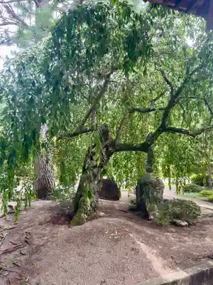 光明寺(宮城県)