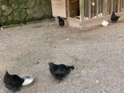 石上神宮(奈良県)