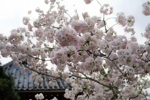 赤堂観音の自然