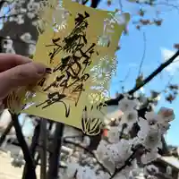 札幌諏訪神社の御朱印