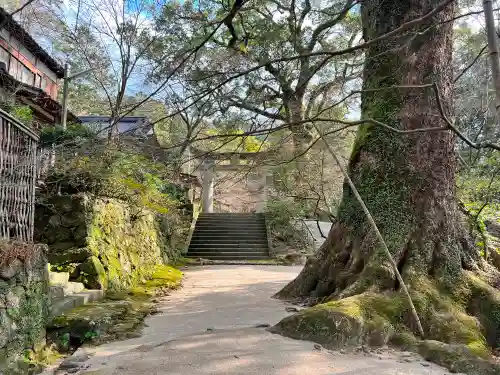 仁比山神社の建物その他