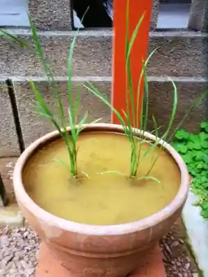 朝日神社(東京都)