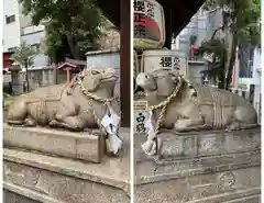 走水神社の狛犬