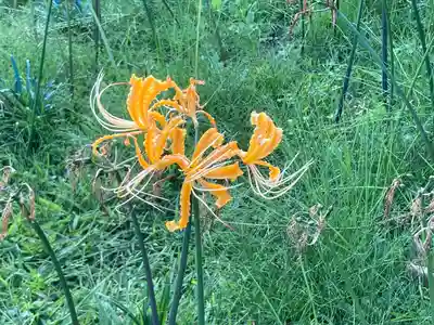 横浜　西方寺(神奈川県)
