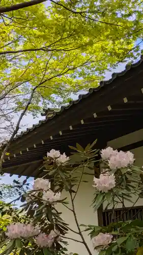 圓光寺(京都府)