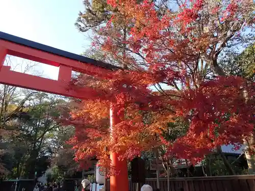 賀茂御祖神社（下鴨神社）の鳥居