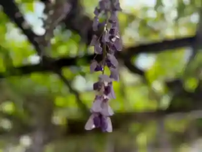 西方山極楽寺(岐阜県)