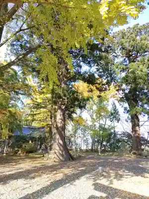 金ケ崎神社(岩手県)