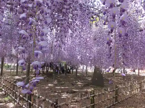 玉敷神社(埼玉県)