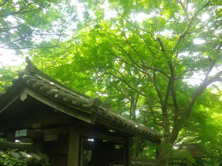 瑞泉寺の山門・神門