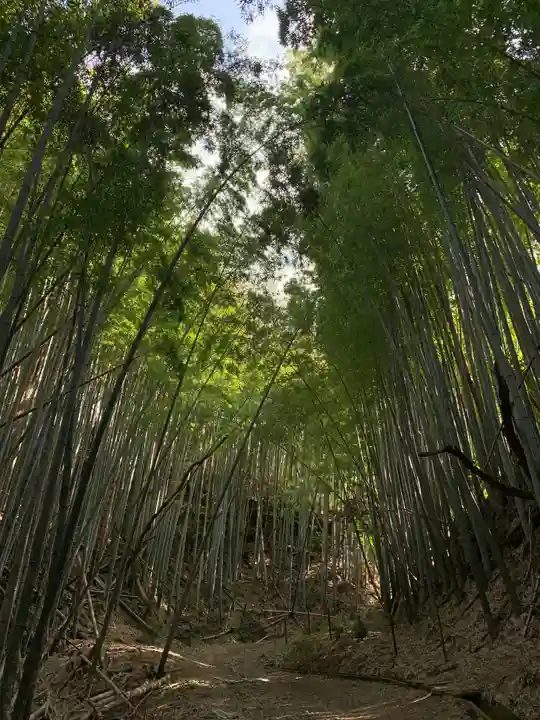 子安神社(千葉県)
