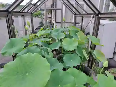 極楽山 浄土寺(北海道)