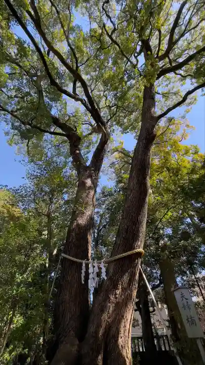 武蔵一宮氷川神社の自然