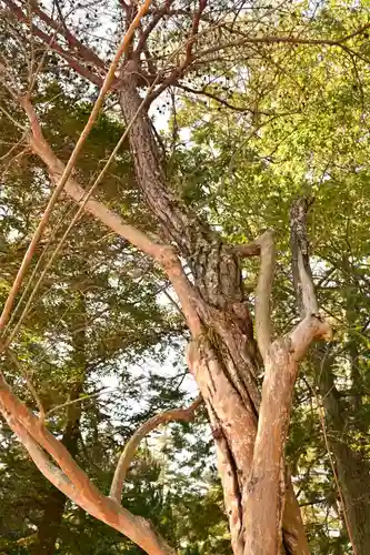 瑠璃光寺(山口県)