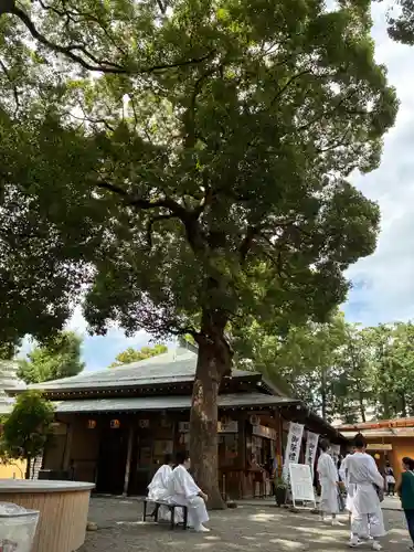 星川杉山神社(神奈川県)