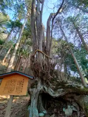 飛驒一宮水無神社(岐阜県)