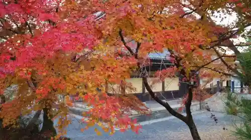 南禅寺の庭園