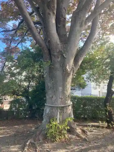 別雷皇太神(茨城県)