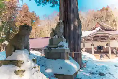 戸隠神社中社(長野県)