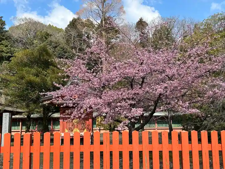 富士山本宮浅間大社(静岡県)