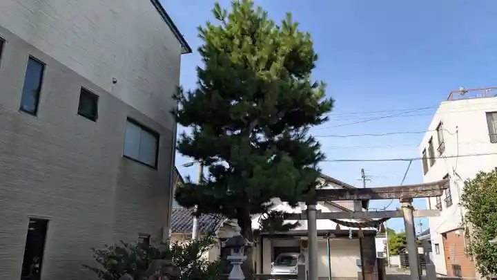 西之神祠の自然