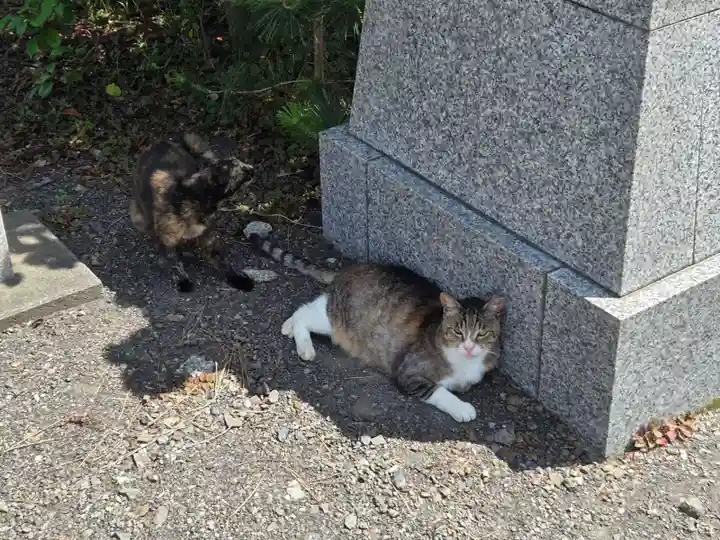 水天宮(静岡県)