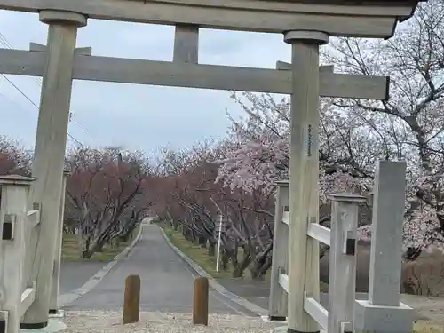 石崎地主海神社の鳥居