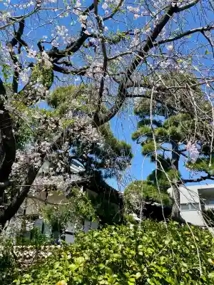 貞源寺の{uncategorized: "未分類", other: "その他", undefined: "問題あり", building: "その他建物", grave: "お墓", sacred_gate: "鳥居", guardian: "狛犬", statue: "像", buddha: "仏像", history: "歴史", nature: "自然", garden: "庭園", animal: "動物", pagoda: "塔", temizu: "手水舎", mountain_gate: "山門・神門", sanctuary: "本殿・本堂", subordinate: "末社・摂社", art: "芸術", scenery: "景色", jizo: "地蔵", ema: "絵馬", goshuin: "御朱印", omikuji: "おみくじ", items: "授与品その他", amulet: "お守り", goshuincho: "御朱印帳", eats: "食事", festival: "お祭り", votive_dance: "神楽", shichigosan: "七五三参", wedding: "結婚式", experience: "体験その他", initially: "初詣", around: "周辺", anti_infection: "感染症対策"}