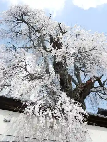 福王寺のその他建物