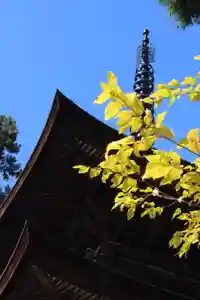国宝 大法寺の塔 2020年11月02日(月)〜(2020年11月02日(月) 18時06分58秒投稿)