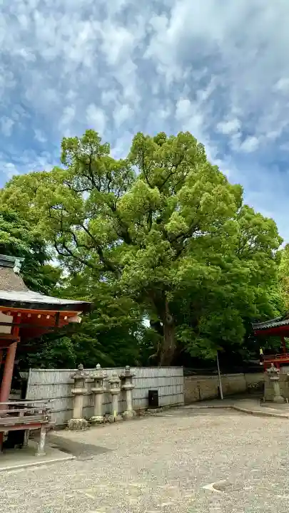 石清水八幡宮(京都府)