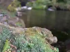 富士山本宮浅間大社の庭園