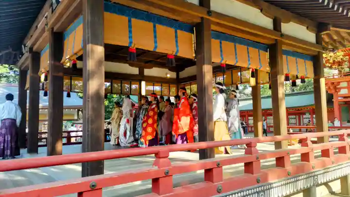 武蔵一宮氷川神社(埼玉県)