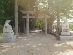 積田神社の狛犬