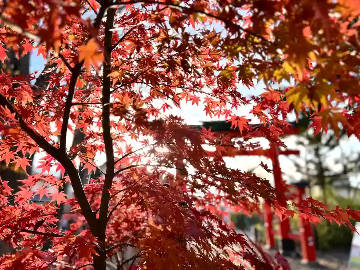 生島足島神社(長野県)