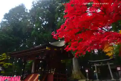 北口本宮冨士浅間神社(山梨県)